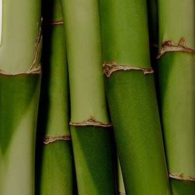 Комплекс экстрактов бамбука и гороха