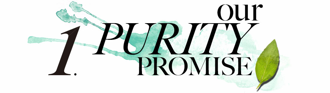 1. Our Purity Promise
